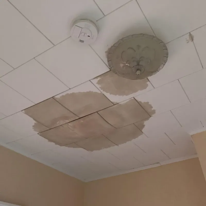 Ceiling Water Damage Repair in Lincoln Park, PA