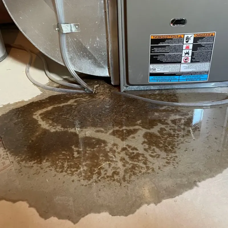 Pipe Burst and Leak Restoration in Lincoln Park, PA