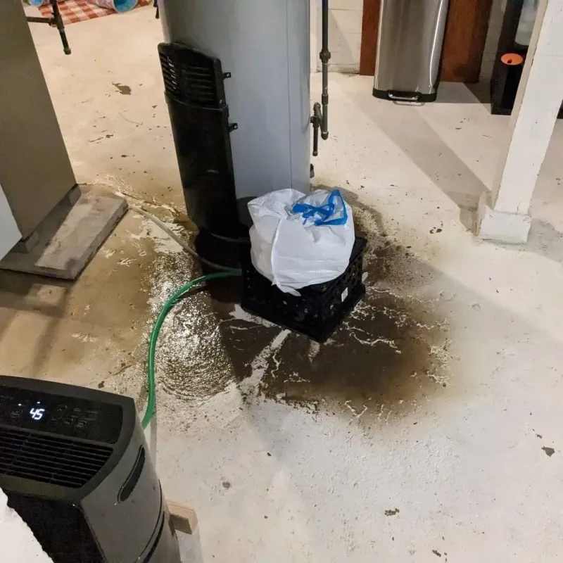 Sewage Backup Cleanup Service in Lincoln Park, PA